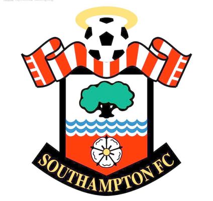 竞技水平的 竞技水平的